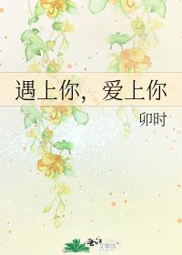 《遇上你,爱上你》