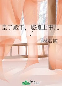 《皇子殿下,您摊上事儿了》