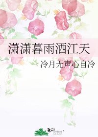 《潇潇暮雨洒江天》