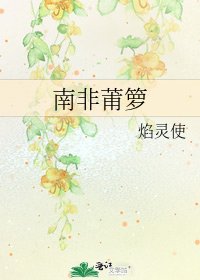 《南非莆箩》