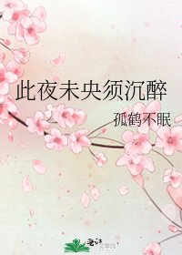 《此夜未央须沉醉》