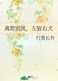 离鸾别凤,左狼右犬