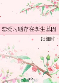 《恋爱习题存在孪生基因》