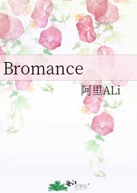 《Bromance》
