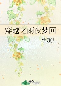 《穿越之雨夜梦回》