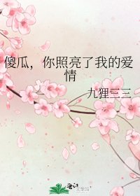 《傻瓜,你照亮了我的爱情》