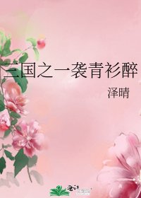 《三国之一袭青衫醉》