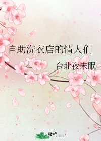 《自助洗衣店的情人们》