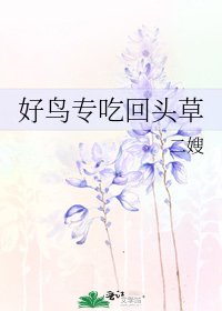 《好鸟专吃回头草》