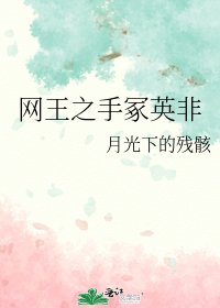 《网王之手冢英非》