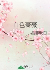 白色蔷薇