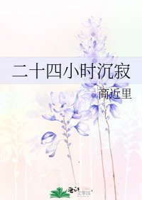 《二十四小时沉寂》