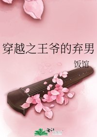 《穿越之王爷的弃男》