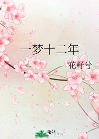 《一梦十二年》