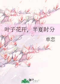 叶子花开，半夏时分