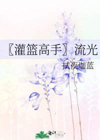 《〖灌篮高手〗流光》