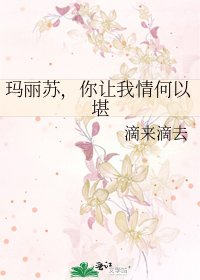 《玛丽苏,你让我情何以堪》