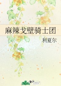 麻辣戈壁骑士团