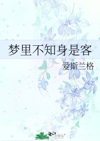 《梦里不知身是客》