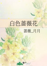 白色蔷薇花