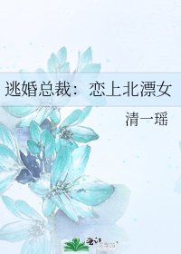 《逃婚总裁:恋上北漂女》