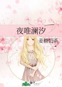 《夜唯澜汐》