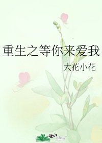 《重生之等你来爱我》