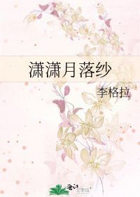 《潇潇月落纱》