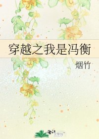 《穿越之我是冯衡》