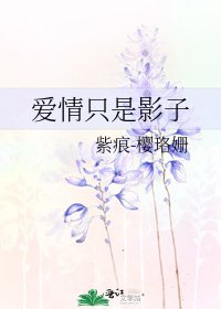 《爱情只是影子》