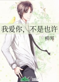 《我爱你,不是也许》