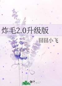 《炸毛2.0升级版》