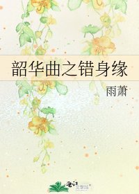 《韶华曲之错身缘》