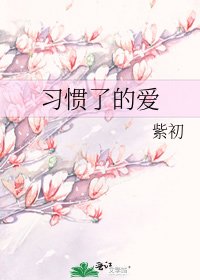 《习惯了的爱》