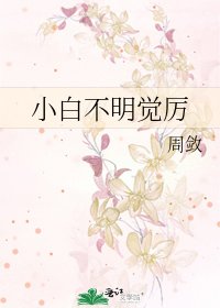 《小白不明觉厉》