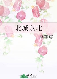 《北城以北》