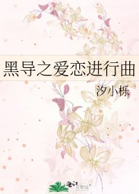 《黑导之爱恋进行曲》