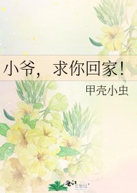 《小爷,求你回家!》