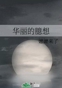 《华丽的臆想》