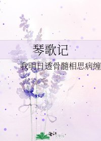 《琴歌记》