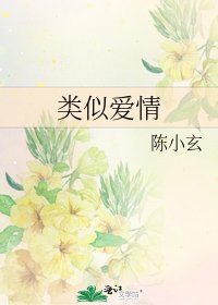 《类似爱情》