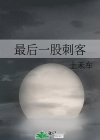 《最后一股刺客》