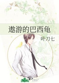 《遨游的巴西龟》