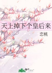 《天上掉下个皇后来》
