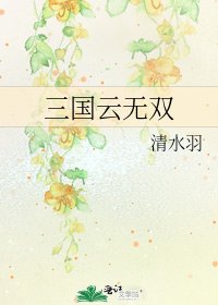 《三国云无双》