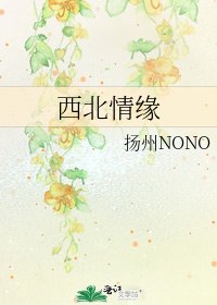 《西北情缘》