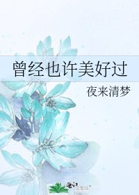 《曾经也许美好过》