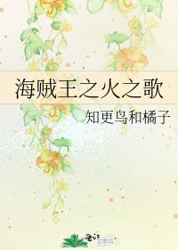 《海贼王之火之歌》