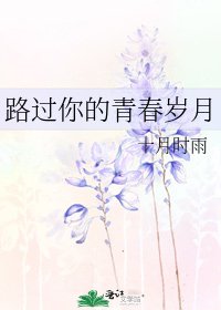 《路过你的青春岁月》
