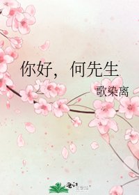 《你好,何先生》